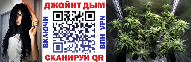 как найти наркотики  Лесозаводск  Шишки марихуана планчик 
